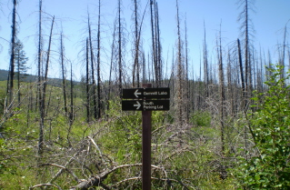 Start of Gimmill Lake Trail from South Parking Lot Okanagan Park 2008-07.